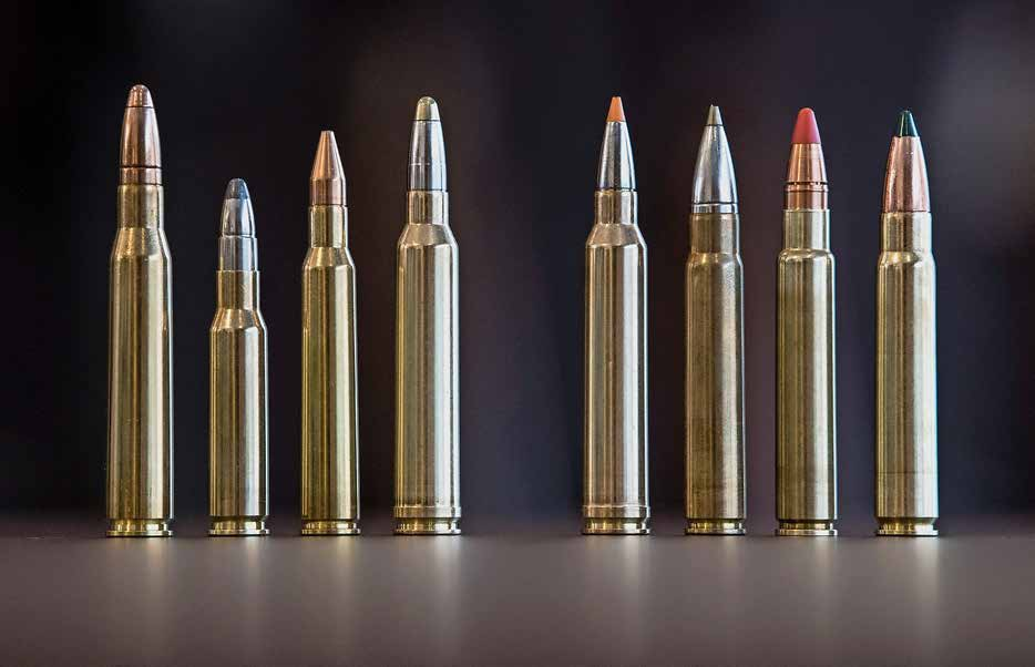 munition sans plomb chasse